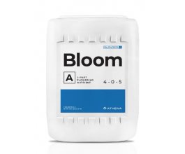 Athena Bloom A 18,9l