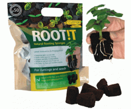 ROOT IT Natural Rooting Sponges- BOX