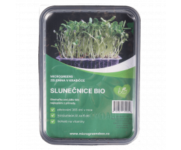 Microgreens sada Slunečnice BIO