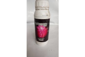 Platinium Nutrients Hydroponic Bloom, 1L, ve slevě